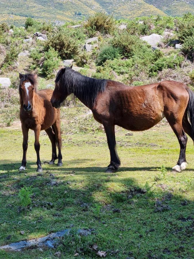 Casa Da Mimi Villa Soajo Eksteriør bilde
